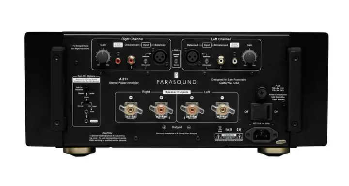 Parasound A21+__rear_black.webp