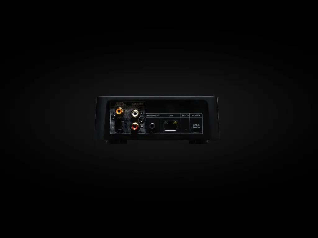 NAD CS1 rear.webp
