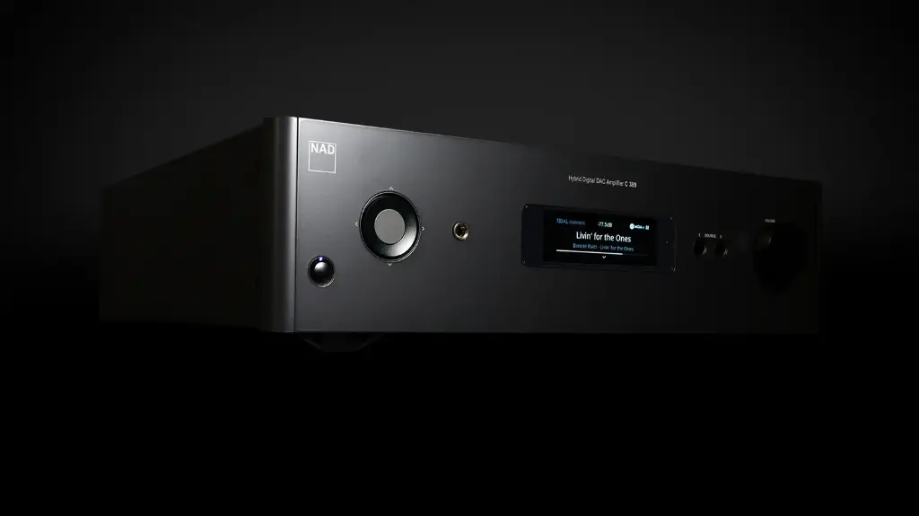 NAD C 389 Side.webp